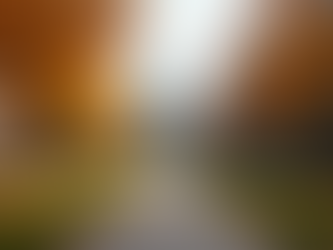 International Universities