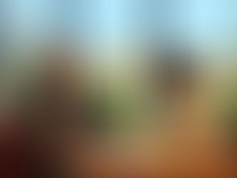 Decoding the HBS Interview: 30 Minutes of "High-Speed Intellectual Combat"