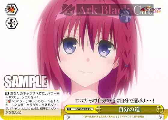 TL/W42-030 CC 自分の道
