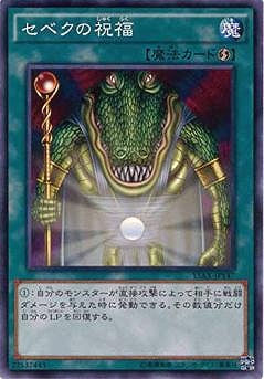 第9期/15AX-JPY47　セベクの祝福