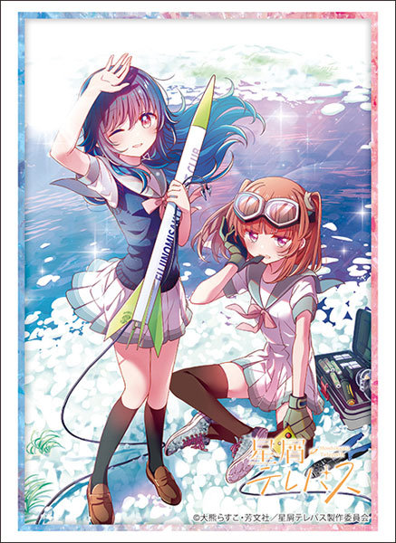 Bushiroad 卡套 Vol.4209 星屑テレパス『小ノ星海果&雷門瞬』