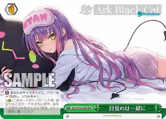 HOL/W104-065R RRR 目覚めは一緒に