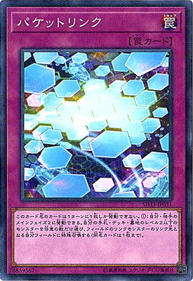 第10期/SD33-JP031　パケットリンク【SECRET】