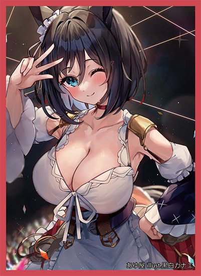 エイシンフラッシュ 同人卡套