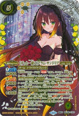 ずっと一緒に トリックスター 契約X シークレット 2024/11)(SECRET)［ずっと一緒に］トリックスター【契約X-SEC