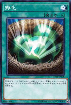 トーナメントパック/17TP-JP408　孵化