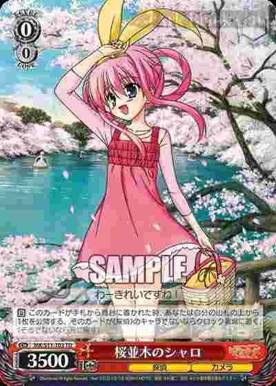 MK/S11-T03 TD 桜並木のシャロ(わーきれいですね!)