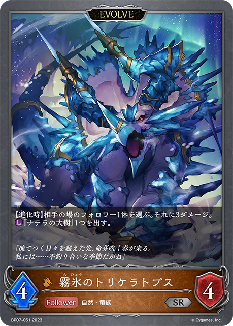 BP07-061 SR 霧氷のトリケラトプス