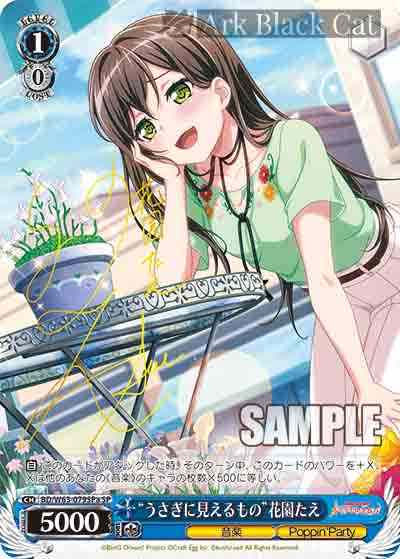 BD/W63-079SPa SP “うさぎに見えるもの”花園たえ(簽名)