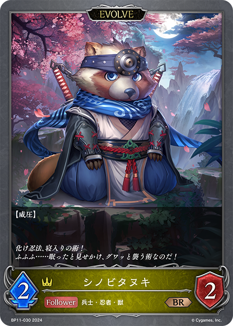 BP11-030 シノビタヌキ BR