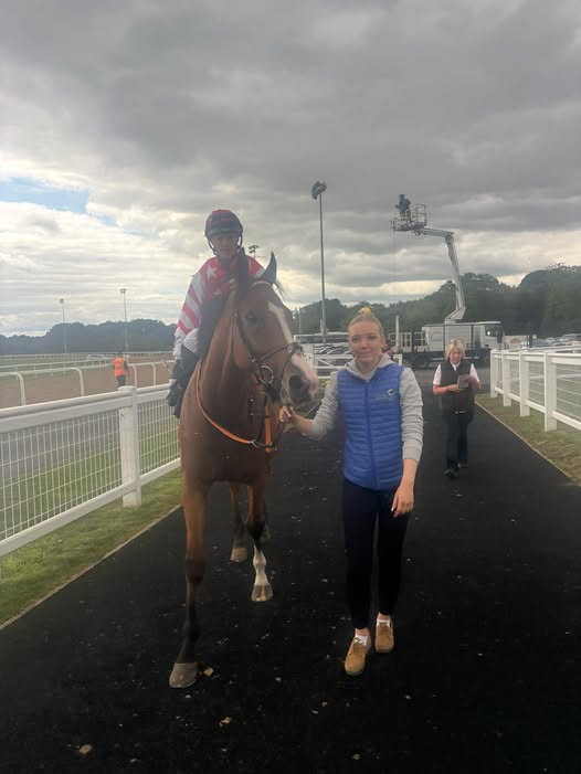 ARRANMORE 25/1 WINNER!!!!!!!