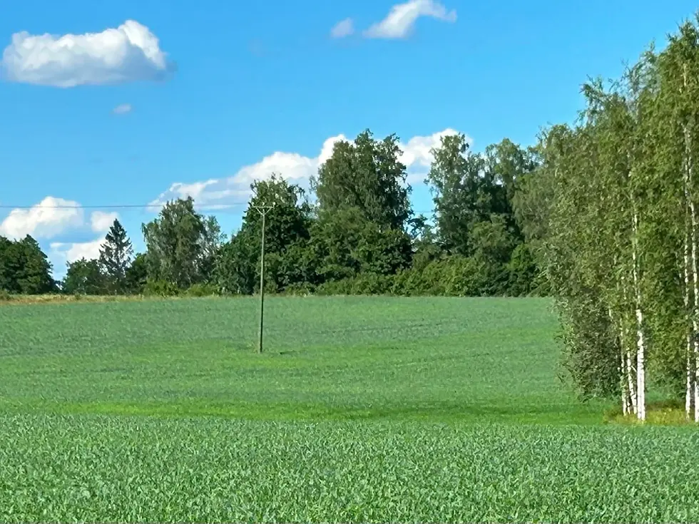 Näkymä Sarvanniityn tonteille 1 ja 2