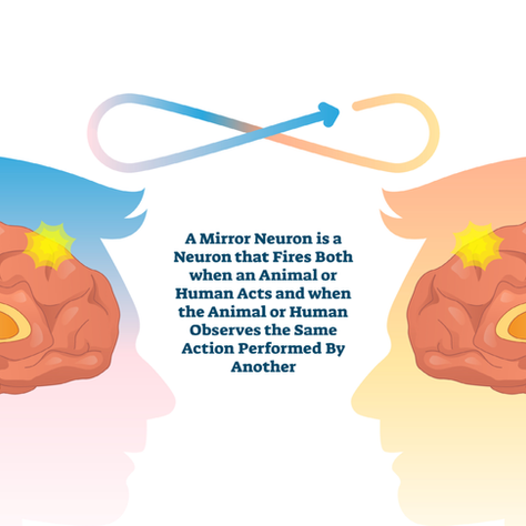 Neural Synchrony in Romantic Couples