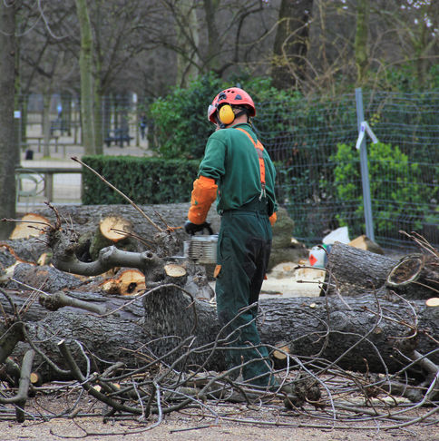 A man cutting up tree debris and branches with a chainsaw.