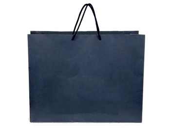 handbag2.png
