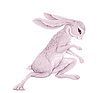 Tevin_edited.png