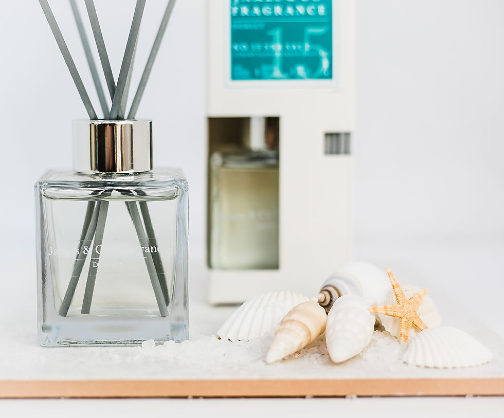 Thumbnail: No. 15 Sea Salt 100ml Reed Diffuser