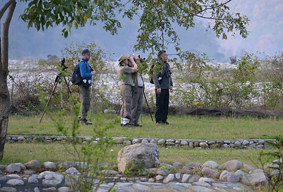 birding.jpg