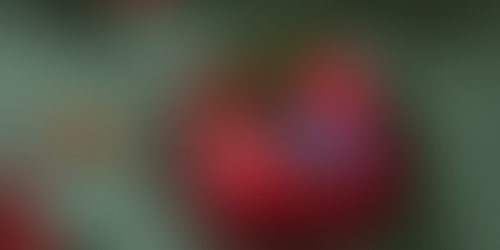 🎄 12 IT SUPPORT TIPS OF CHRISTMAS