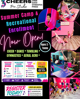 Summer & Recreational Enrollment.png