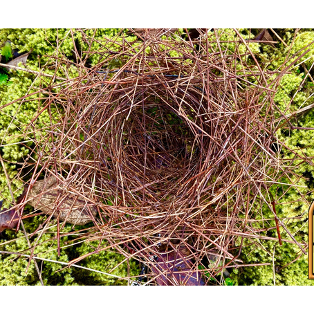 March Newsletter