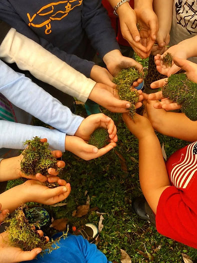 moss collectors.PNG