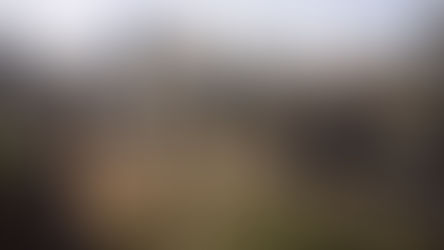 The Local Tax Burden on Philadelphia Households