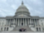 PANA Members Pack the Halls of Capitol in D.C.