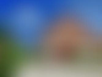 애기나 – 성 넥타리오스 수도원 격리를 위한 공식 발표