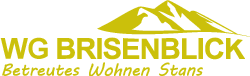 Brisenblick Logo