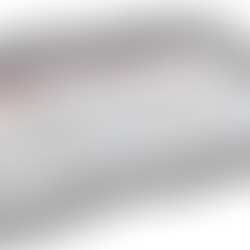 Vehículos con mejor rotación Febrero 2024