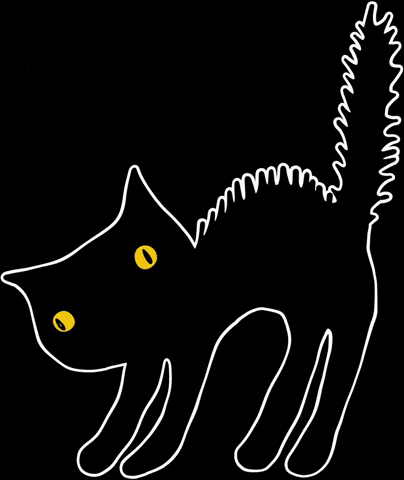 Trick Or Treat Cat GIF by Valfré.gif