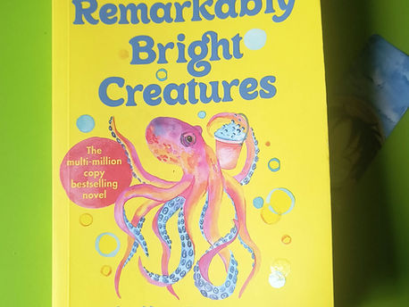 Book Review - A Remarkably Beautiful Book