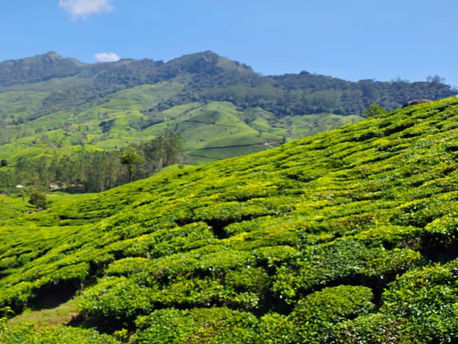 To Kashmir of South India - Kerala Tour Day 1