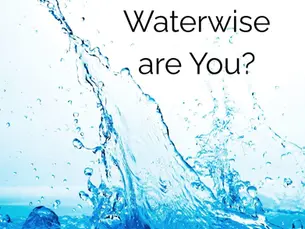 How Waterwise Are You?