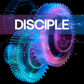 CDM Vision Dicsipular EN.jpg