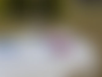 Home "mus have" - white tablecloth!