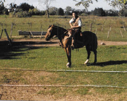 Chamarrita, mi yegua.