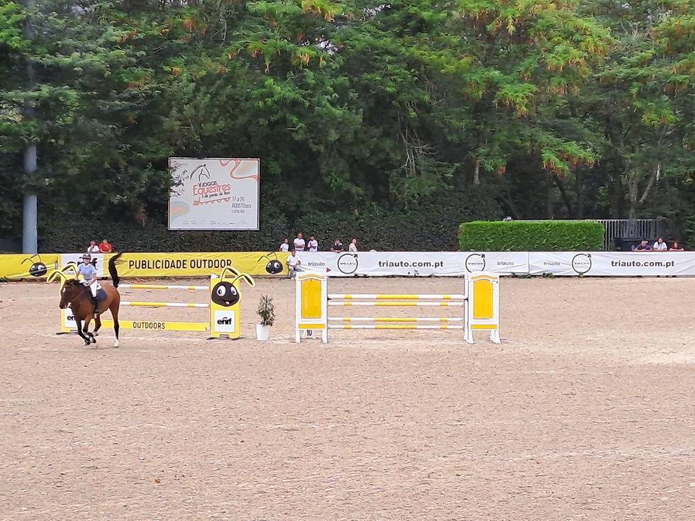 jovem a cavalo, em pista de obstáculos