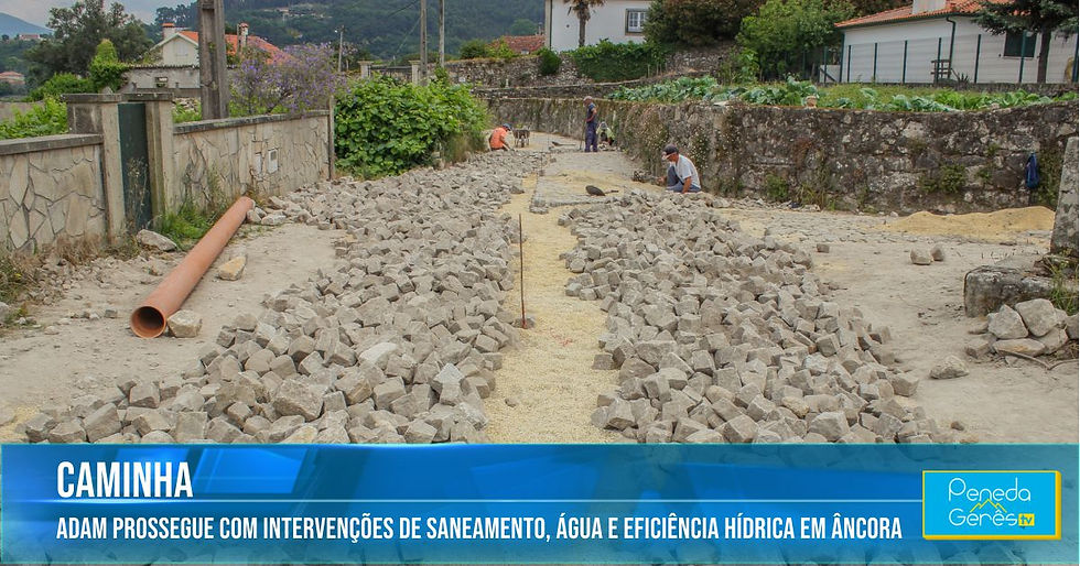 homens instalando pedra de calçada numa rua