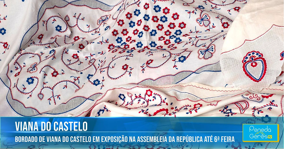 toalha com bordados em cores azuis e vermelhas