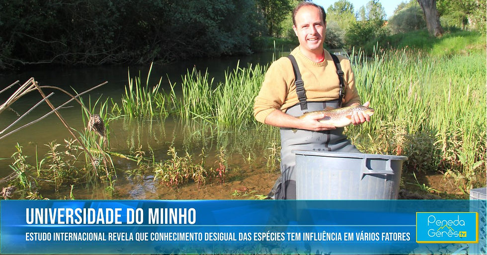homem de joelhos no rio, com uma truta na mão