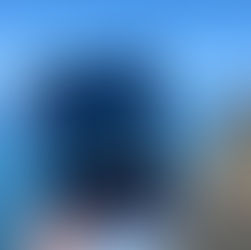 Tablet showing "Elin Hilderbrand, Natural Selection" held by a hand. Background: ocean and cliffs under blue sky. Calm and scenic.