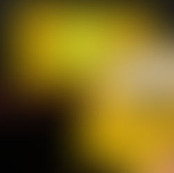 Bright yellow theater program for "Operation Mincemeat" held in front of a matching curtain with the same title; empty seats visible.