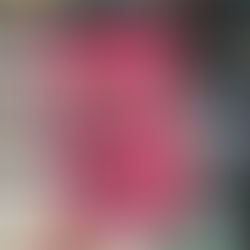 Hand holding a pink book titled "So Fetch: The Making of Mean Girls." Background features blurred bookshelves, creating a cozy library setting.