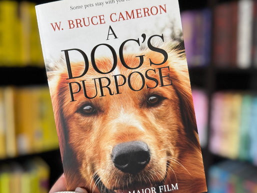 Hand holding "A Dog's Purpose" book by W. Bruce Cameron in a colorful bookstore. The cover shows a dog's face. Text: Now a Major Film.
