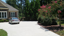 pruned shrubs before 4.jpg