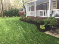 mulching 2.jpg