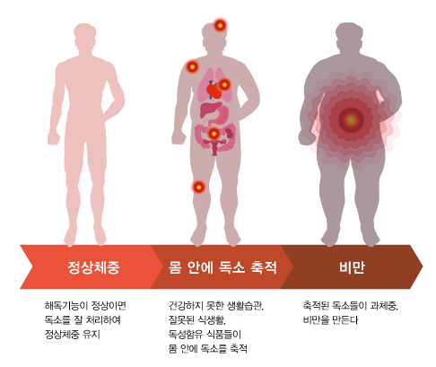 바디디톡스10.png