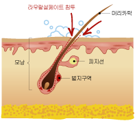 헤어디톡스03.png